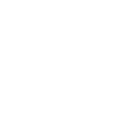 Crescita condivisa e innovazione - Rete Sicurezza Italia