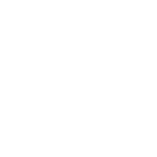 Innovazione, forza, visibilità - Rete Sicurezza Italia